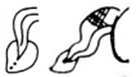 A black and white drawing of a light bulb and a paintbrush  Description automatically generated