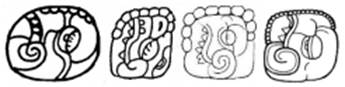 A drawing of a foot  Description automatically generated