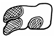 A black and white drawing of a pair of shoes  Description automatically generated